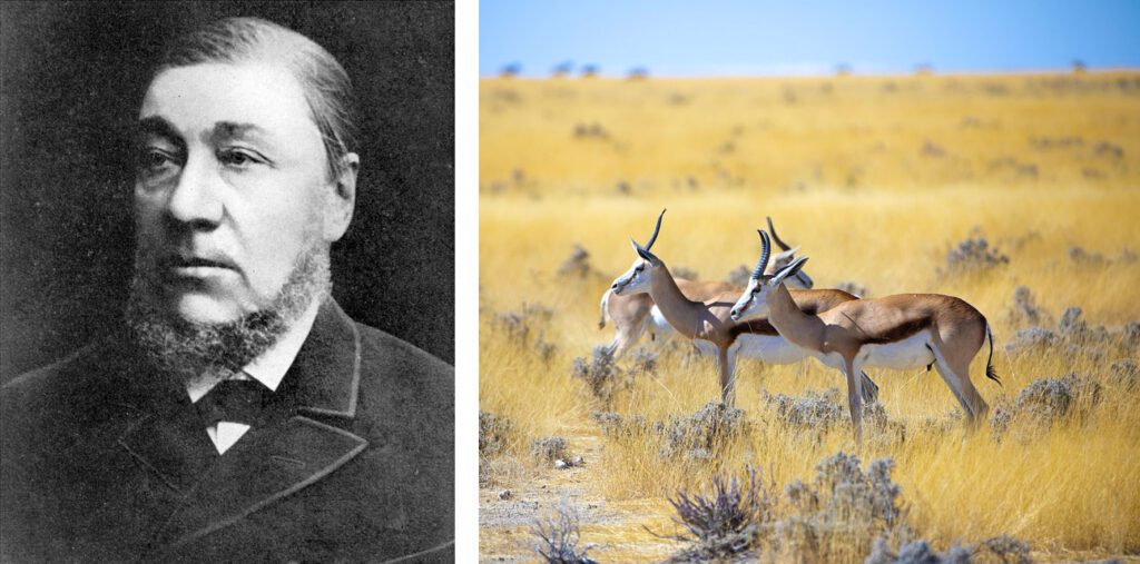 Paul Kruger and the springbok antelope, motives of the Krugerrand.