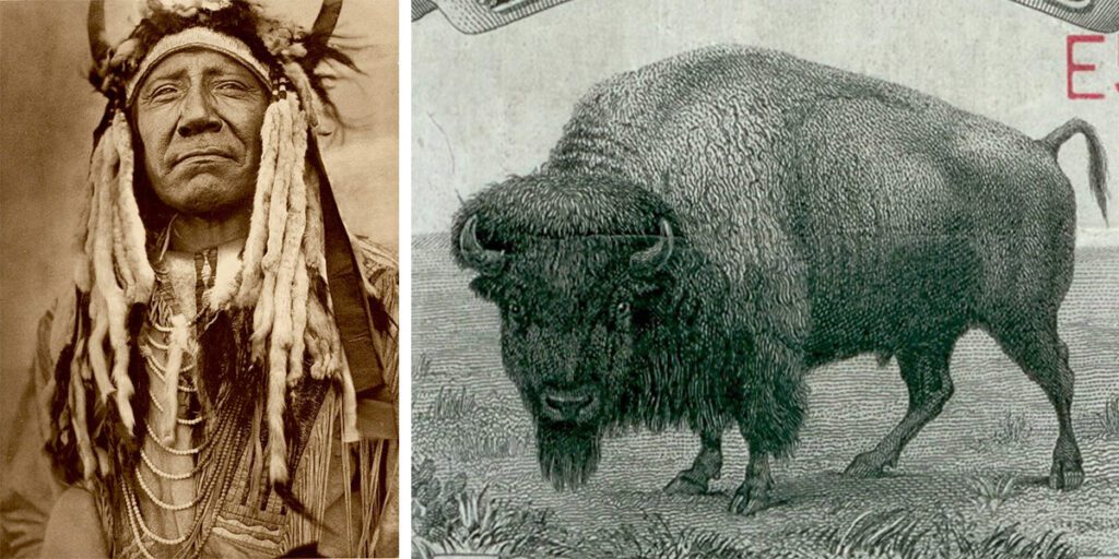 Motives of the American Buffalo Gold Coin: One of two native Americans, two moon chief of the chayenne and the bison black diamond from the New York Zoo.